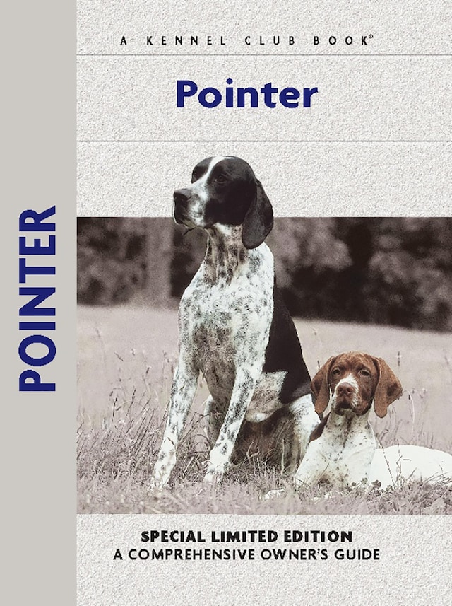 Book cover for Pointer