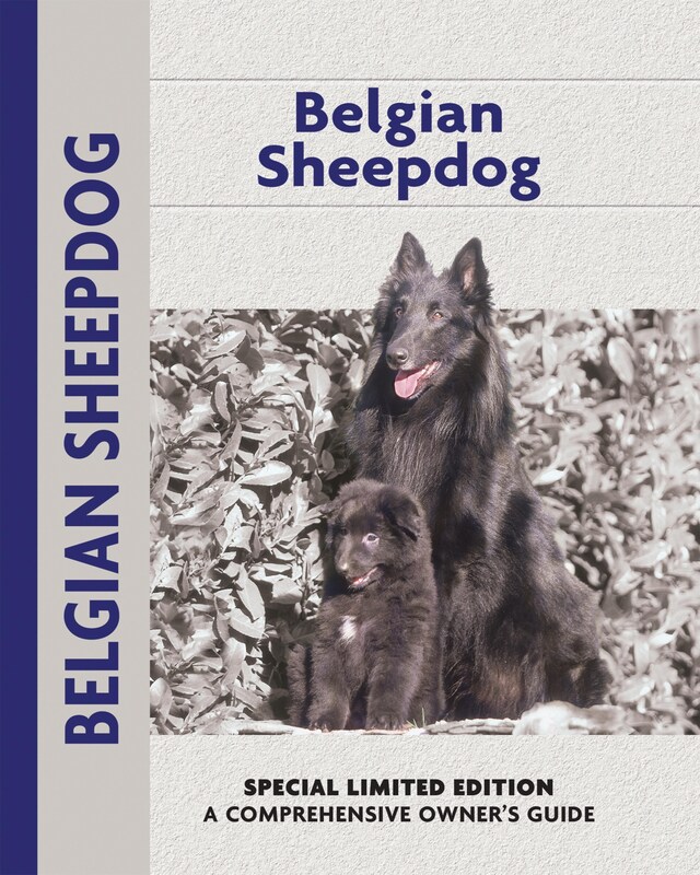 Book cover for Belgian Sheepdog