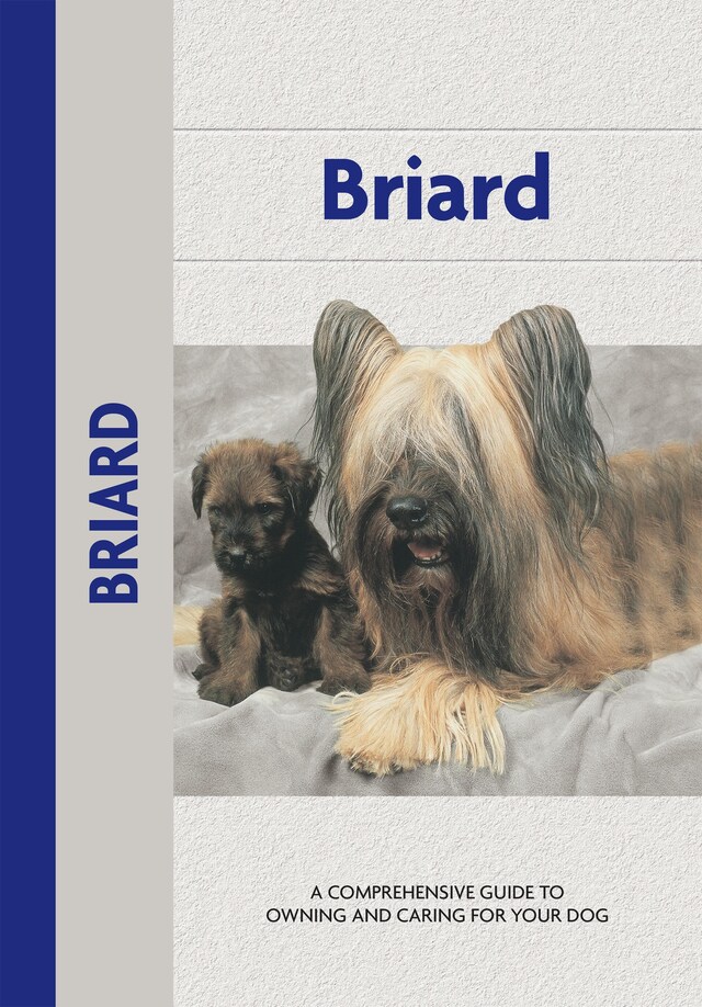 Book cover for Briard