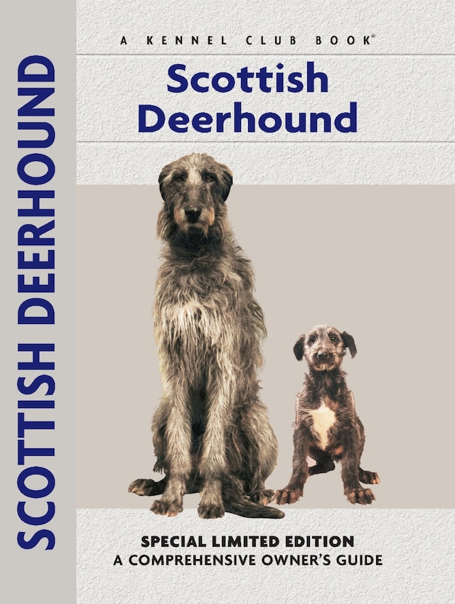 Book cover for Scottish Deerhound