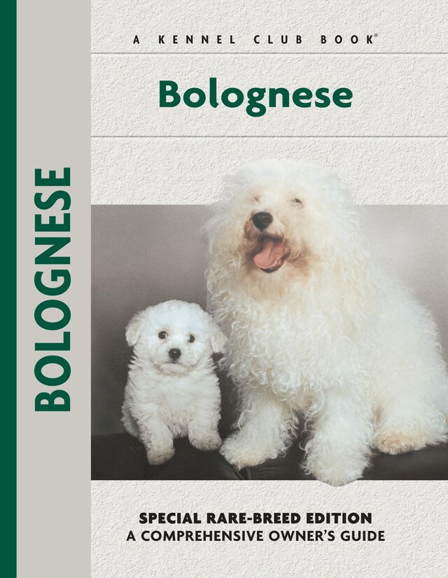 Book cover for Bolognese