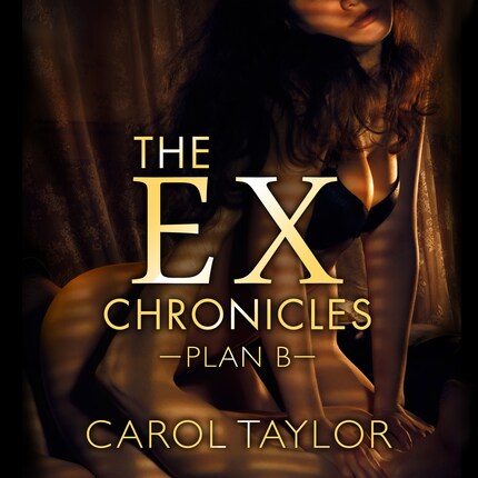 The Ex Chronicles bookCoverFor