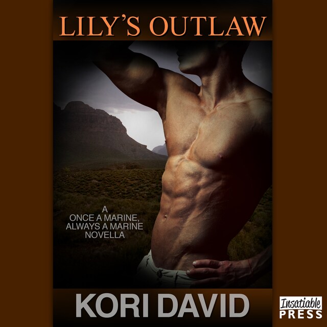 Buchcover für Lily's Outlaw