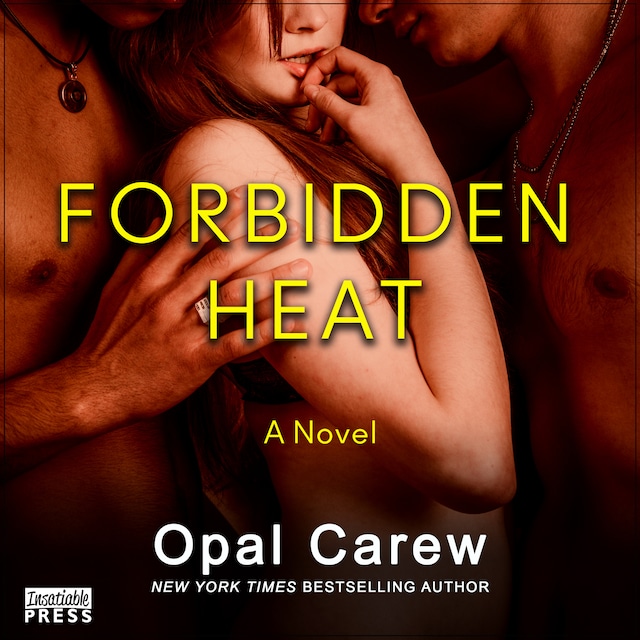 Book cover for Forbidden Heat