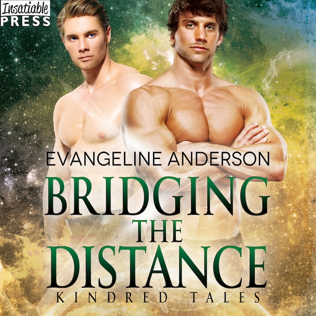Book cover for Bridging the Distance