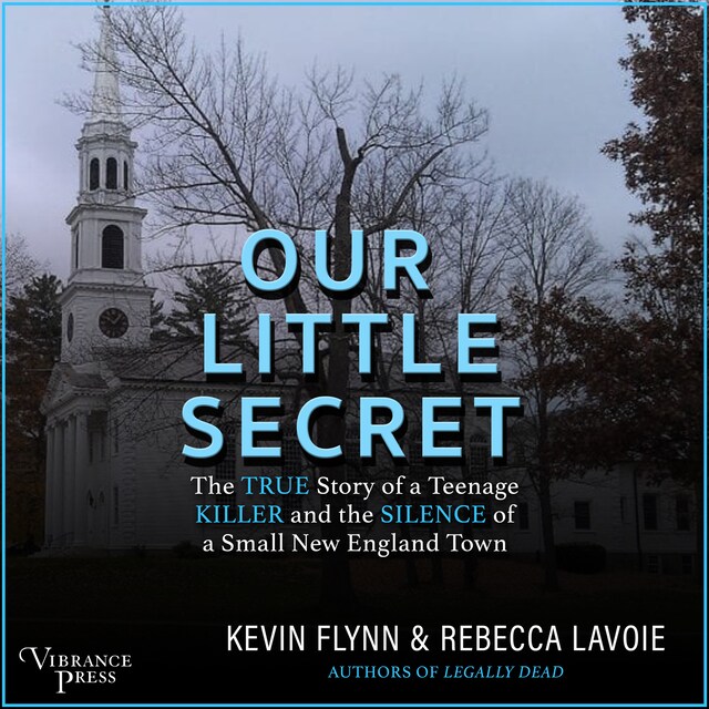 Couverture de livre pour Our Little Secret