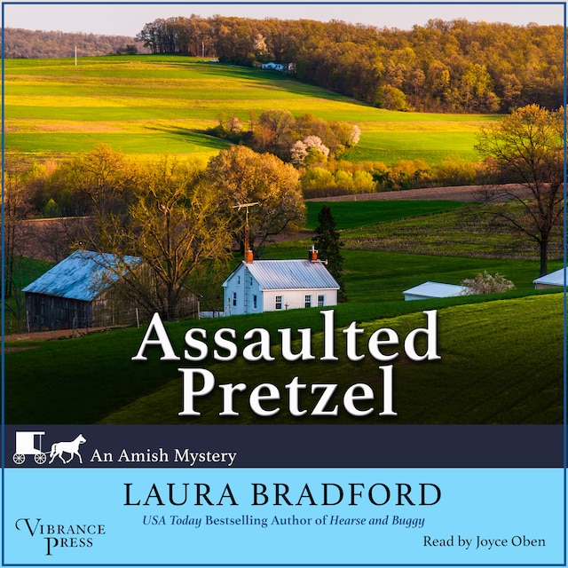 Book cover for Assaulted Pretzel