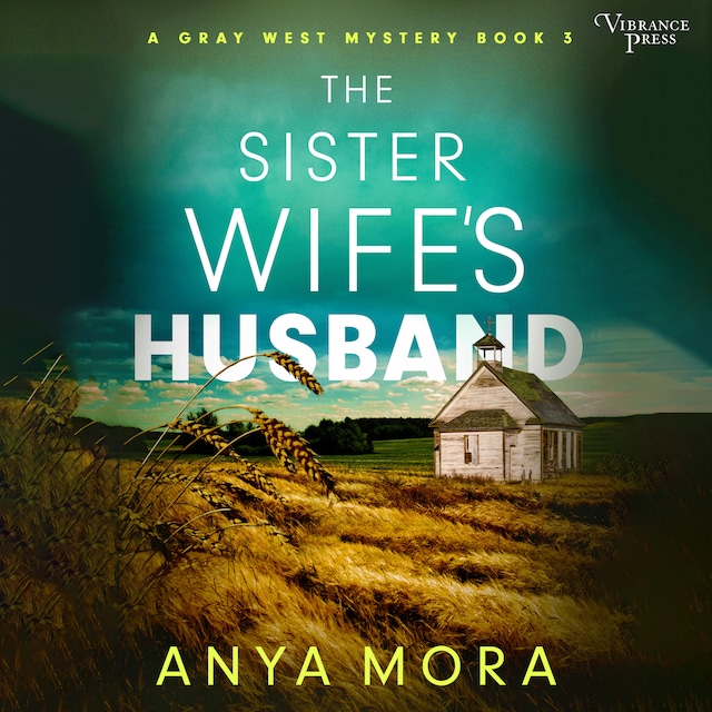 Book cover for The Sister Wife's Husband
