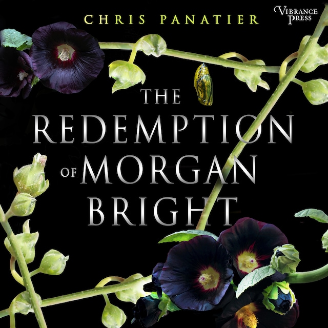 Book cover for The Redemption of Morgan Bright