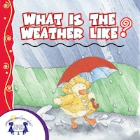 What Is The Weather Like Today?