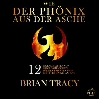 Wie der Phönix aus der Asche. 12 Eigenschaften von Erfolgsmenschen für den privaten und beruflichen als Hörbuch