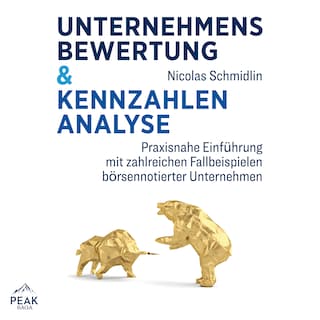 Unternehmensbewertung & Kennzahlenanalyse: Praxisnahe Einführung mit zahlreichen Fallbeispielen börs als Hörbuch