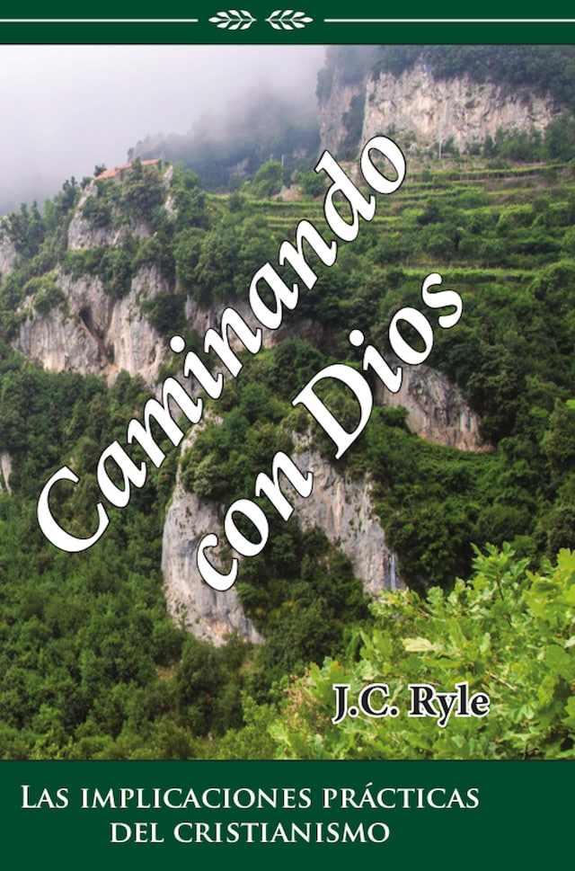 Book cover for Caminando con Dios