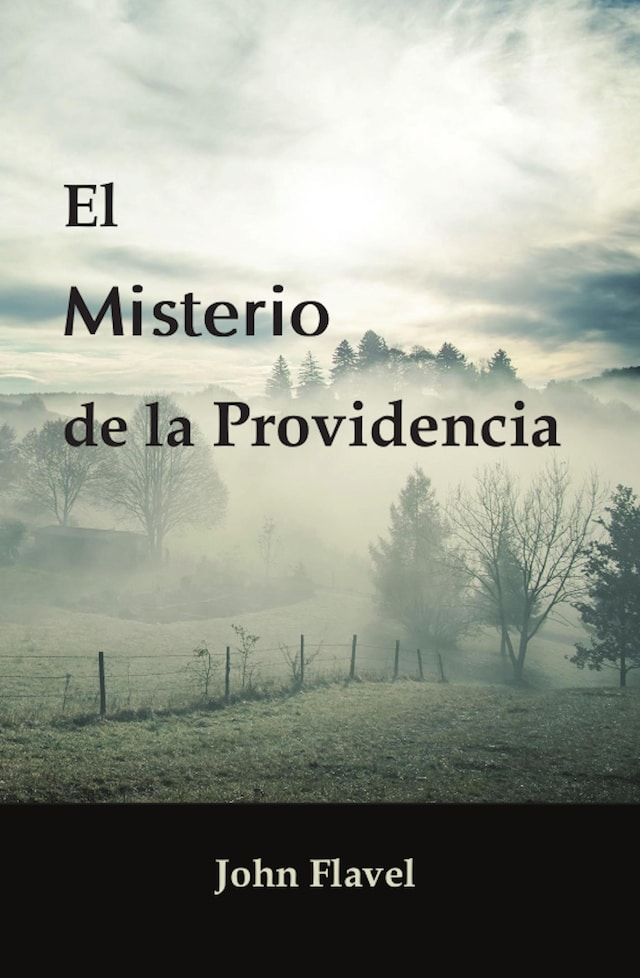 Book cover for El misterio de la Providencia