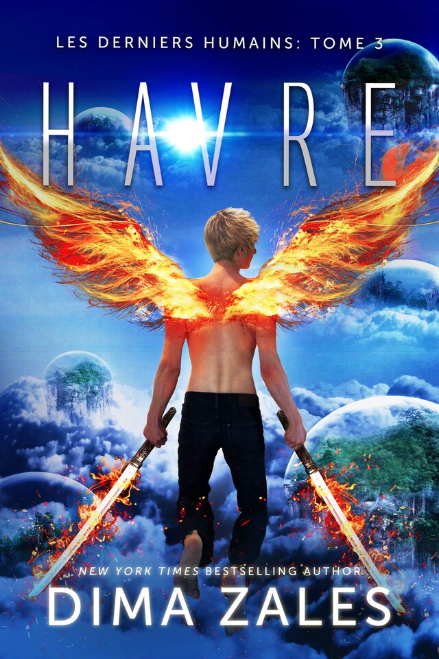 Book cover for Havre