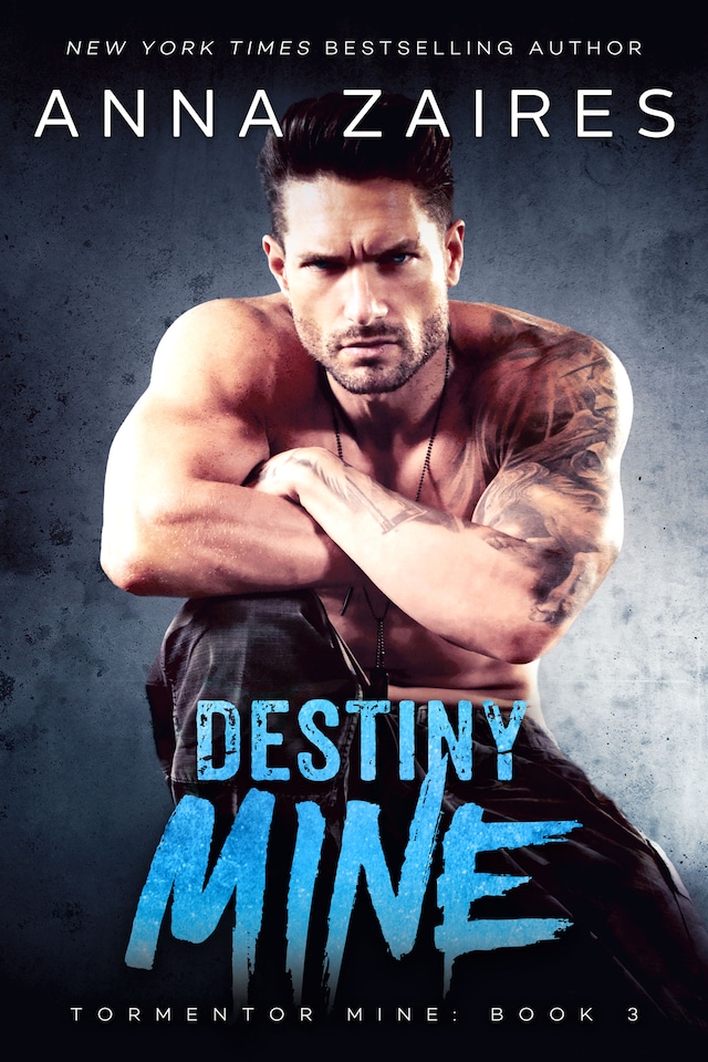 Book cover for Destiny Mine: Tormentor Mine: Book 3