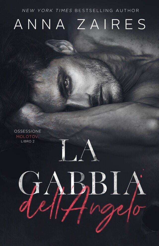 Copertina del libro per La Gabbia dell’Angelo