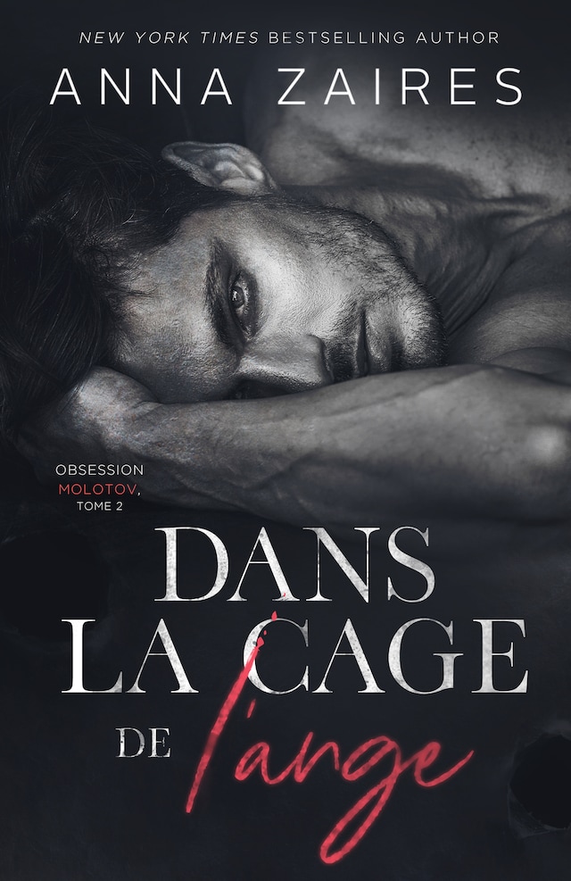Book cover for Dans la cage de l’ange