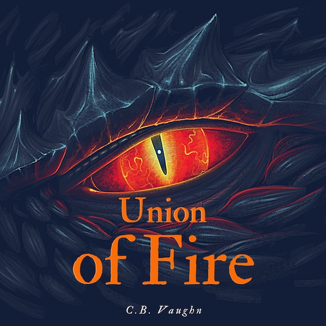 Boekomslag van Union of Fire