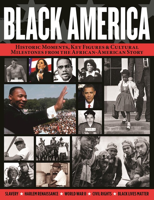 Buchcover für Black America