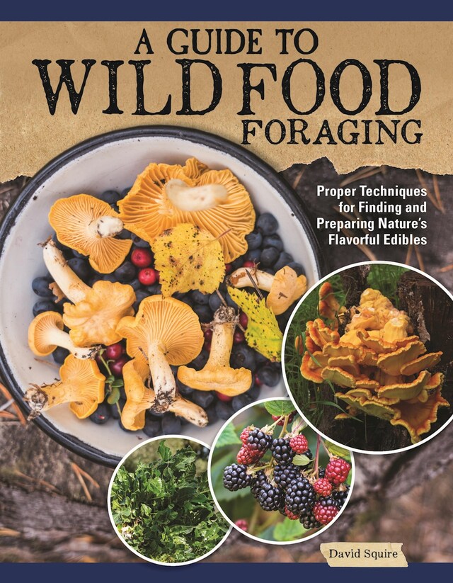 Book cover for A Guide to Wild Food Foraging