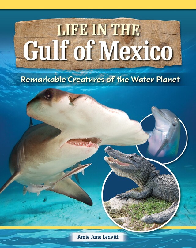 Book cover for Life in the Gulf of Mexico