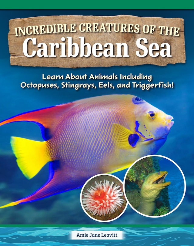 Bogomslag for Incredible Creatures of the Caribbean Sea