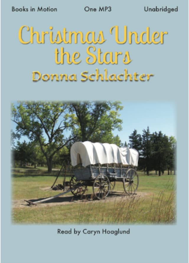 Book cover for Christmas Under the Stars