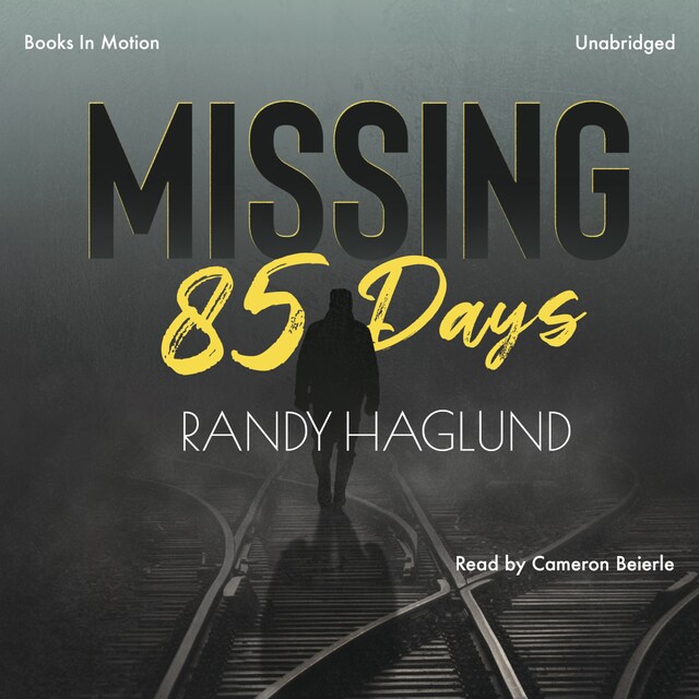 Book cover for Missing 85 Days