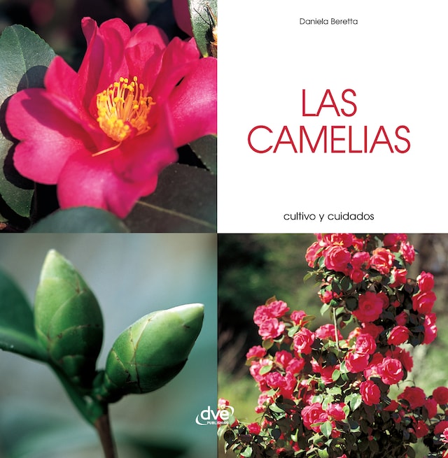 Bokomslag for Las camelias - Cultivo y cuidados