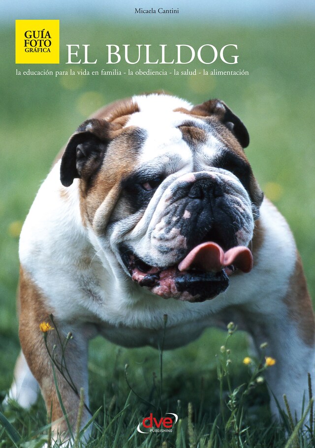 Book cover for El bulldog
