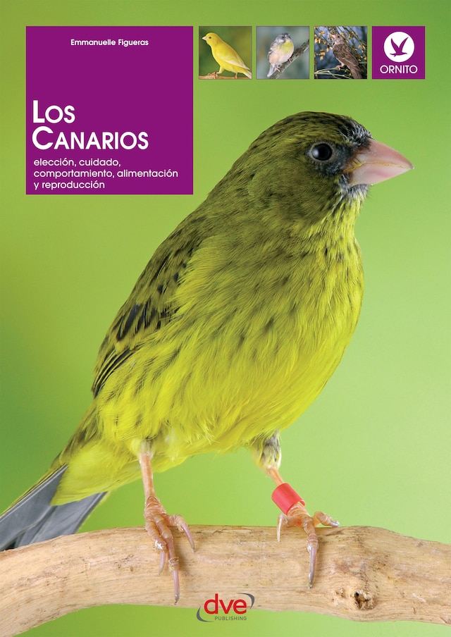 Book cover for Los canarios. Elección, cuidado, comportamiento, alimentación y reproducción