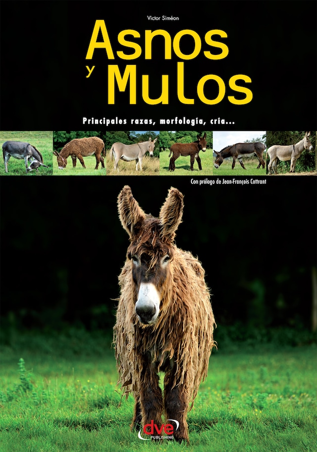 Book cover for Asnos y mulos