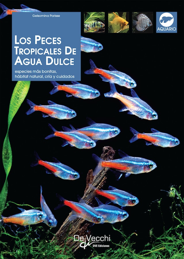 Book cover for Los peces tropicales de agua dulce