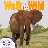 Walk In The Wild