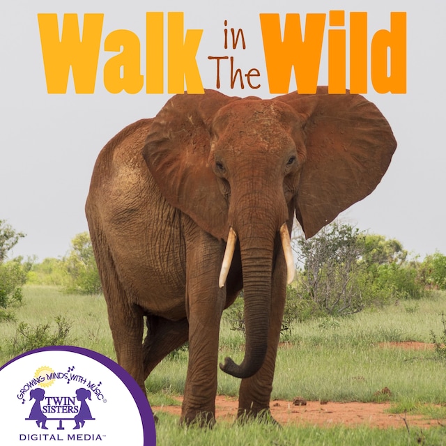 Book cover for Walk In The Wild