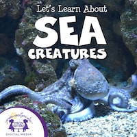 Let's Learn About Sea Creatures