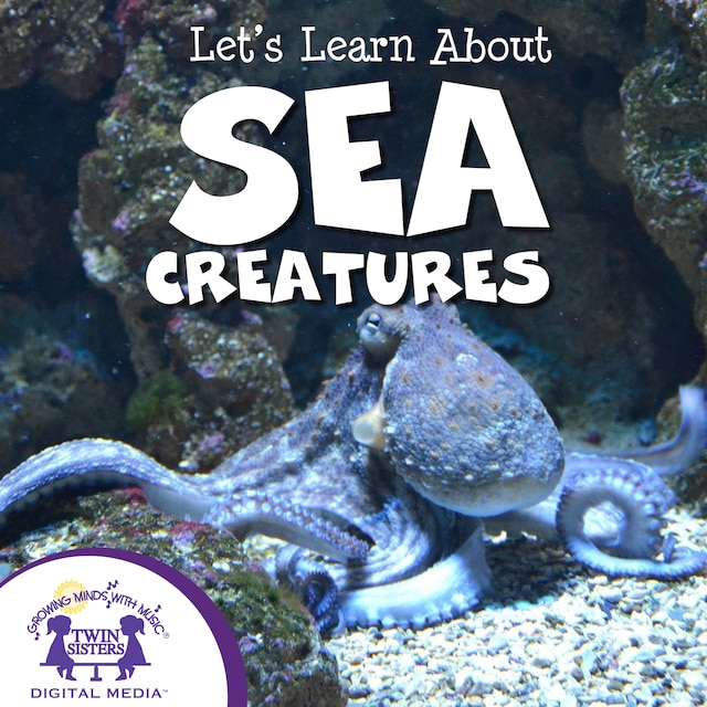 Book cover for Let's Learn About Sea Creatures