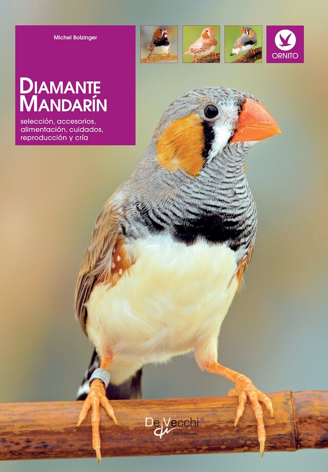 Couverture de livre pour Diamante mandarín