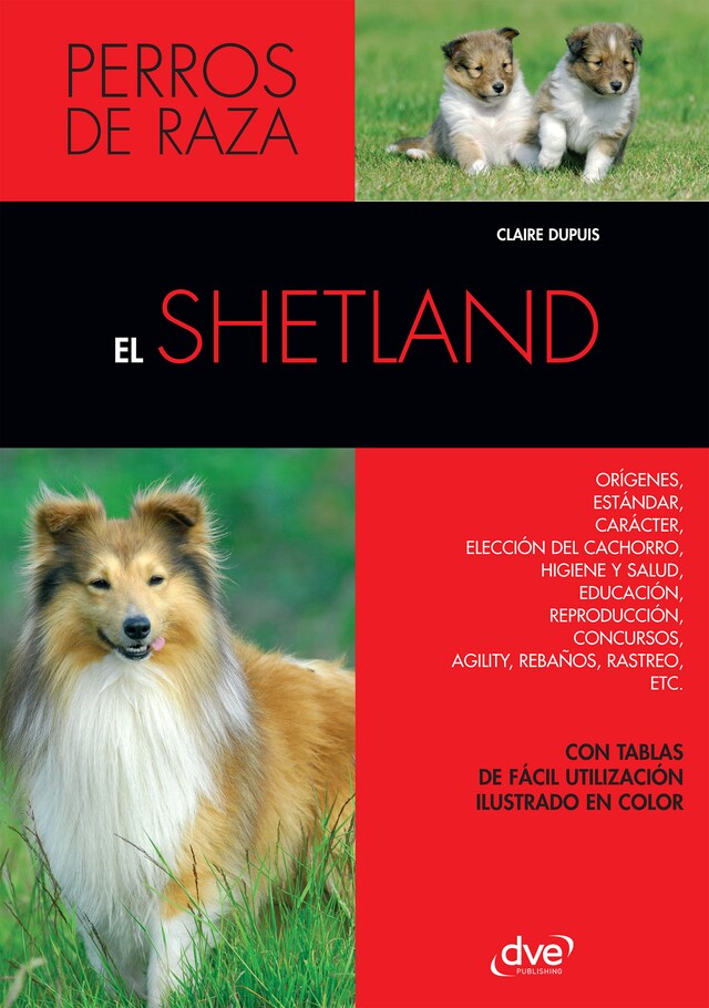 Buchcover für El Shetland