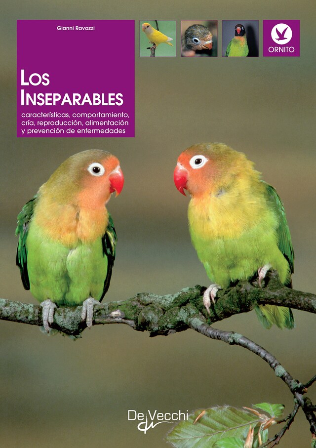 Book cover for Los inseparables