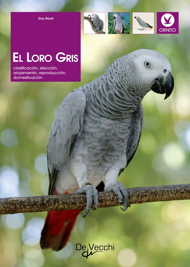 Bogomslag for El loro gris