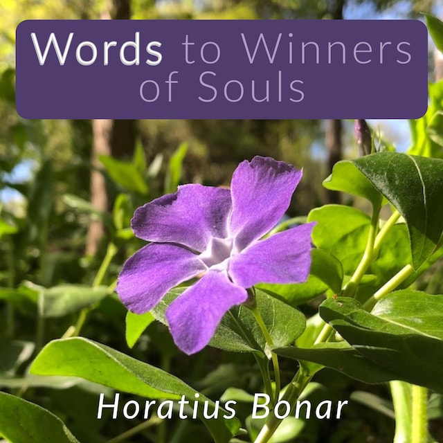 Book cover for Words to Winners of Souls