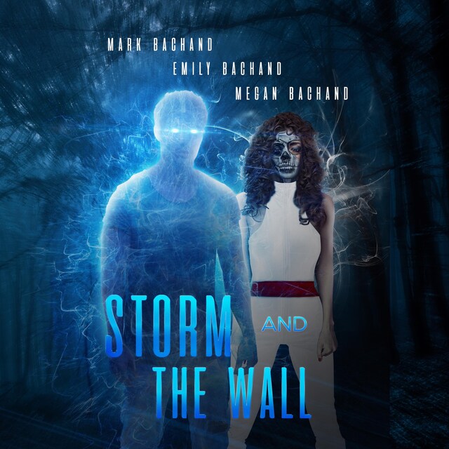 Okładka książki dla Storm and the Wall