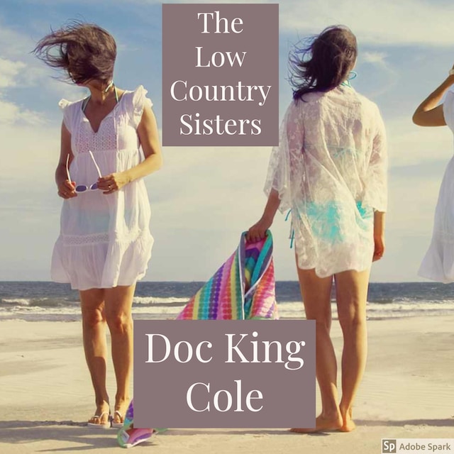Book cover for The Low Country Sisters