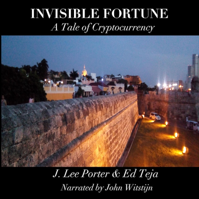 Copertina del libro per Invisible Fortune