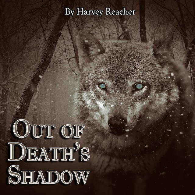 Boekomslag van Out of Death's Shadow