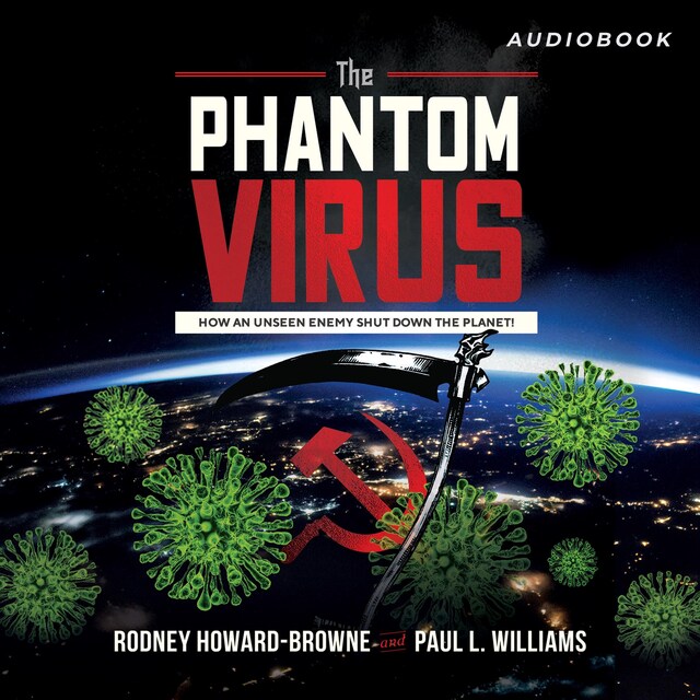 Book cover for The Phantom Virus