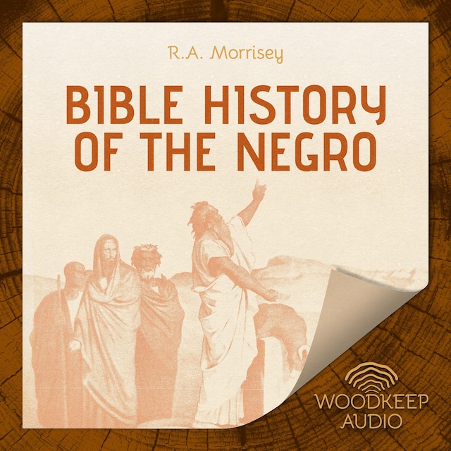 Book cover for Bible History of the Negro