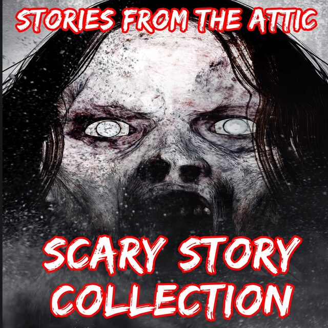 Bokomslag för Scary Story Collection